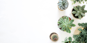 How to publish a book