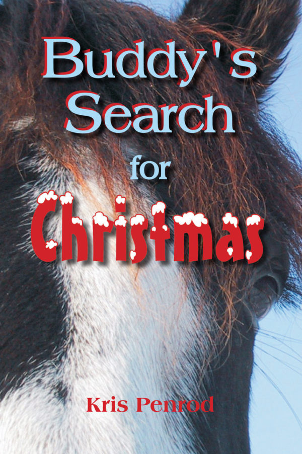 Buddy's Search for Christmas